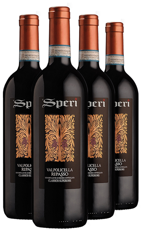 רביעיית ספרי ריפסו